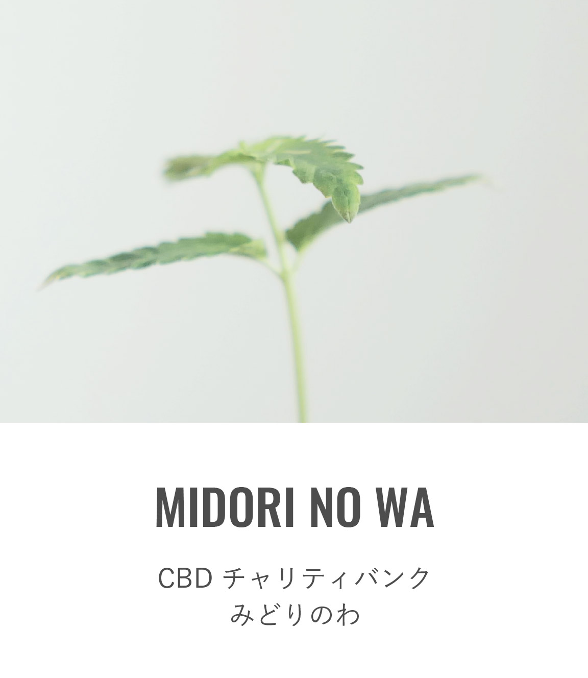 MIDORI NO WA - CBD チャリティバンク みどりのわ