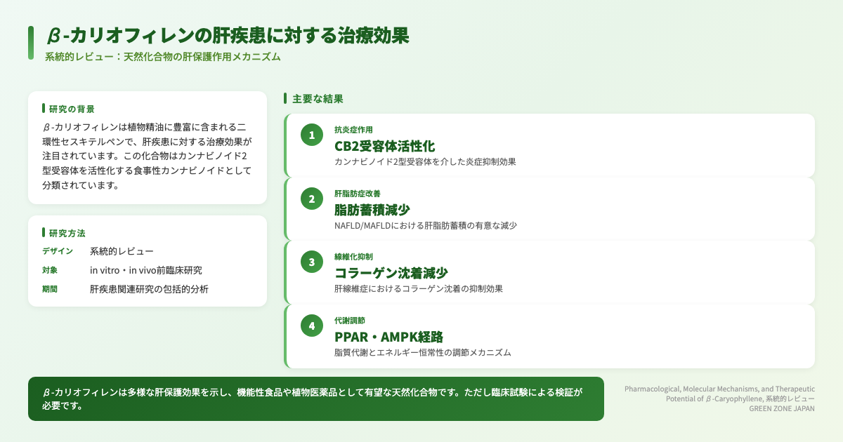 インフォグラフィックス